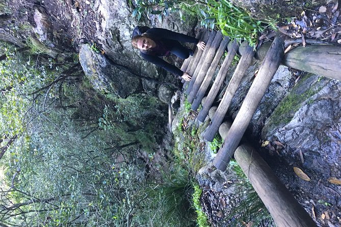 Table Mountain Hike (All routes) - Private Tour - India Venster for a bigger dose of excitement