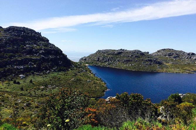 Table Mountain Hike (All routes) - Private Tour - Platteklip Gorge: short, steep, and non-technical