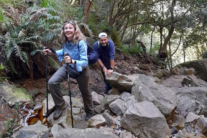 Table Mountain Hike (All routes) - Private Tour - What the guide adds to the day