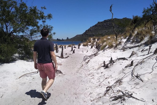 Table Mountain Hike (All routes) - Private Tour - Reaching the summit and riding the cable car down