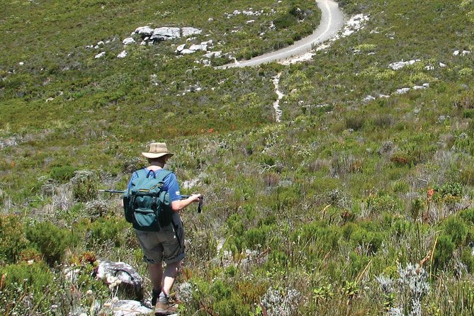 Table Mountain Hike from Cape Town - Why a Small Group Makes a Difference