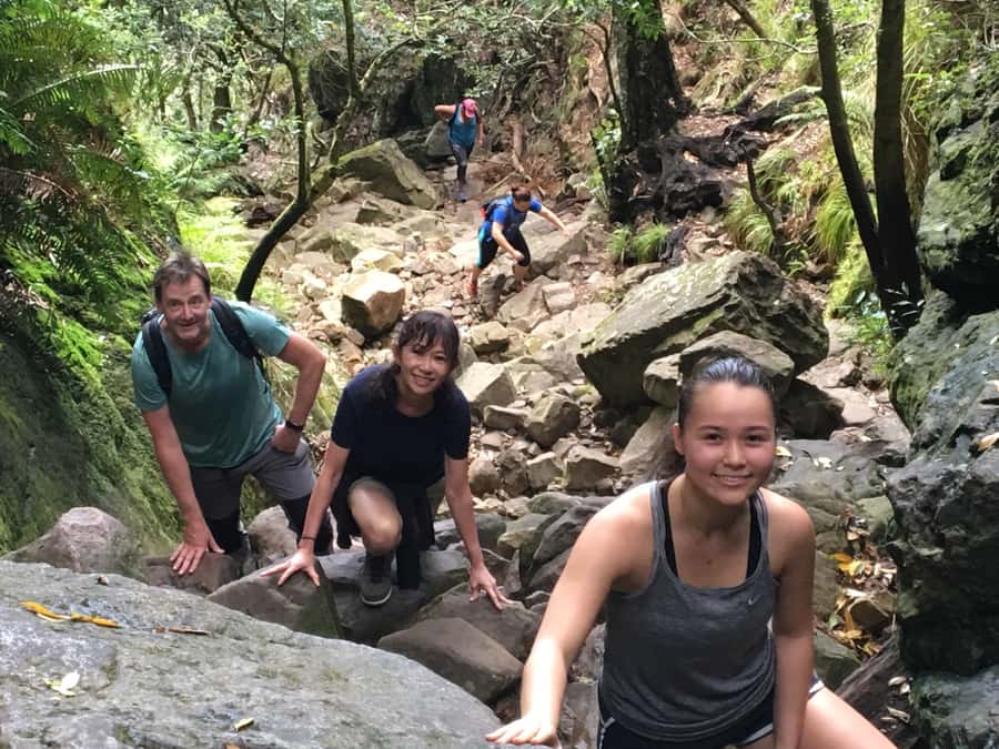 Table Mountain Hike with Local Tour Guide - What is included for $87