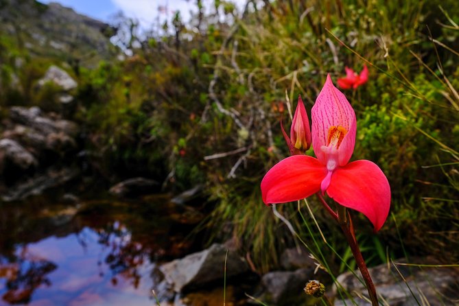 Table Mountain Summit Hike via Kasteelspoort - Continuing to the summit plateau near the Upper Cable Station