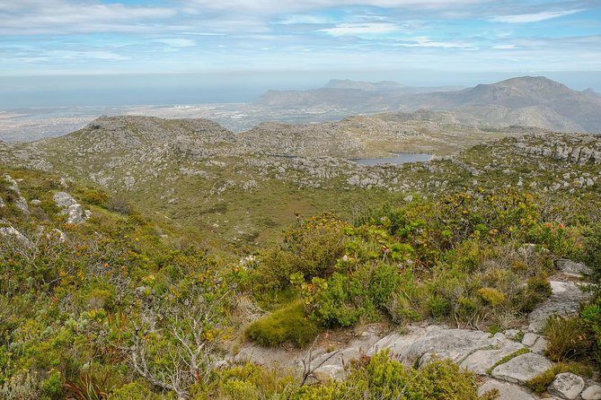 Table Mountain Summit Hike via Kasteelspoort - Fynbos, flowers, and the value of a local guide