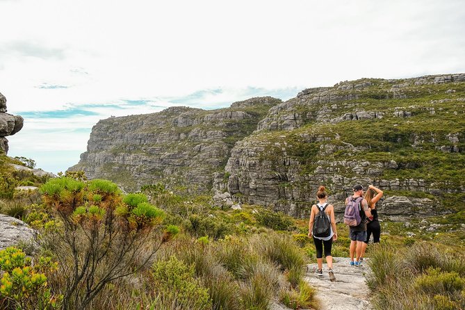 Table Mountain Summit Hike via Kasteelspoort - How the private format changes the day