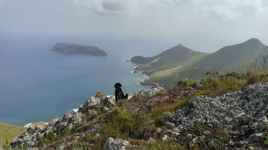 Tailored Trek: Your adventure, Your Way - A Porto Santo walk that changes to fit your day