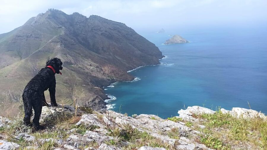 Tailored Trek: Your adventure, Your Way - Is $64 fair for the value?