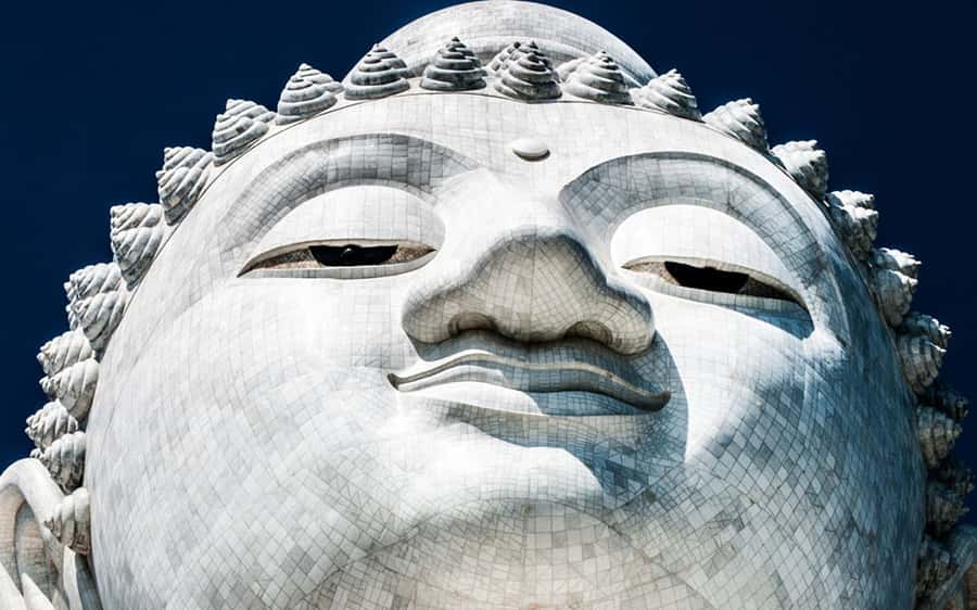 Temple and Jungle Trekking tour with Lunch at Farm-to-Table - Seeing Big Buddha while the site is closed