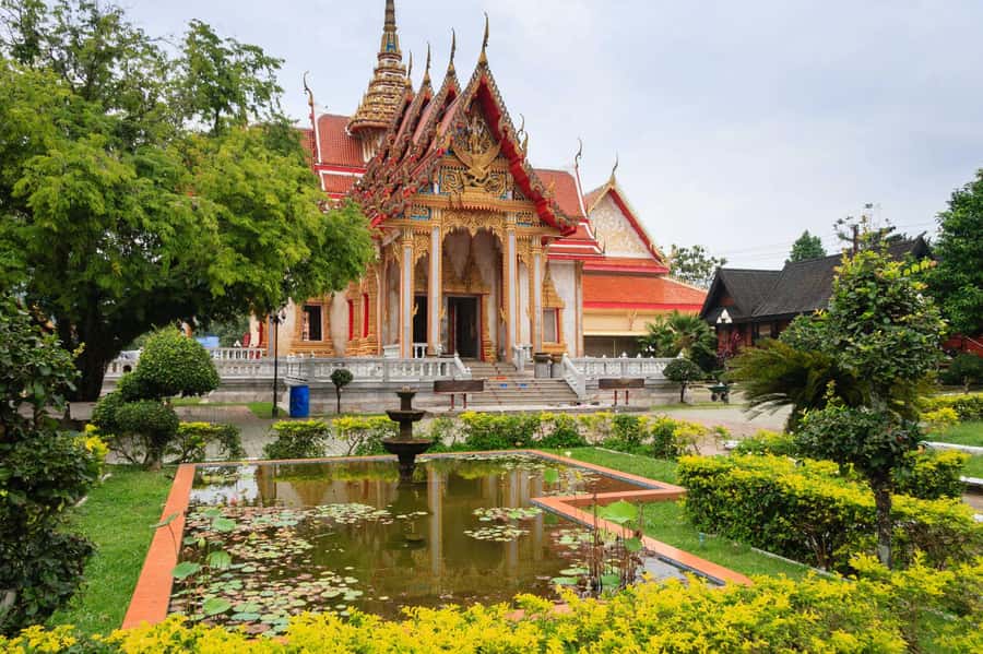 Temple and Jungle Trekking tour with Lunch at Farm-to-Table - Farm-to-table lunch and what may change