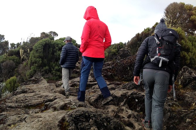The best 6-Days Kilimanjaro hiking (Machame route)whiskey route - Why Machame is Kilimanjaro’s more demanding route