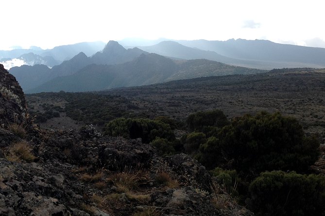 The best 6-Days Kilimanjaro hiking (Machame route)whiskey route - Day four: Barranco Wall, Karanga, and Barafu