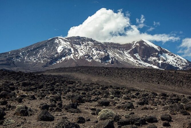 The best 6-Days Kilimanjaro hiking (Machame route)whiskey route - Day five: the schedule needs a clear answer