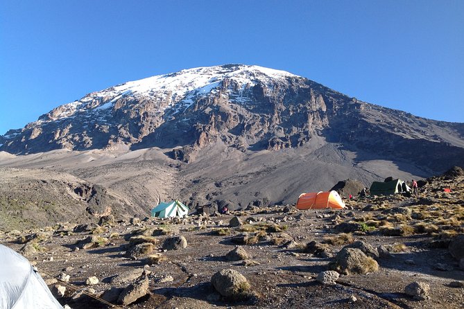 The best 6-Days Kilimanjaro hiking (Machame route)whiskey route - Day six: the long descent through Mweka forest