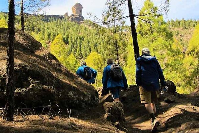 The Roque Nublo Base Camp Experience: Hiking, Picnic and Climbing - Who should book it