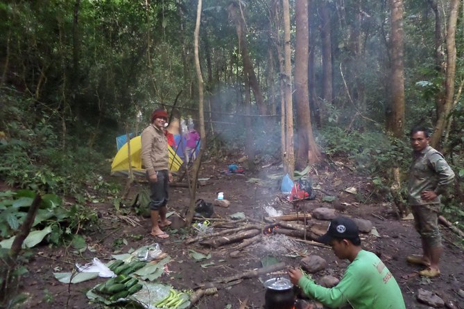The Wild Explorer - 3 days forest trek with homestay and camping - Day three: sunrise, forest food, and the walk back