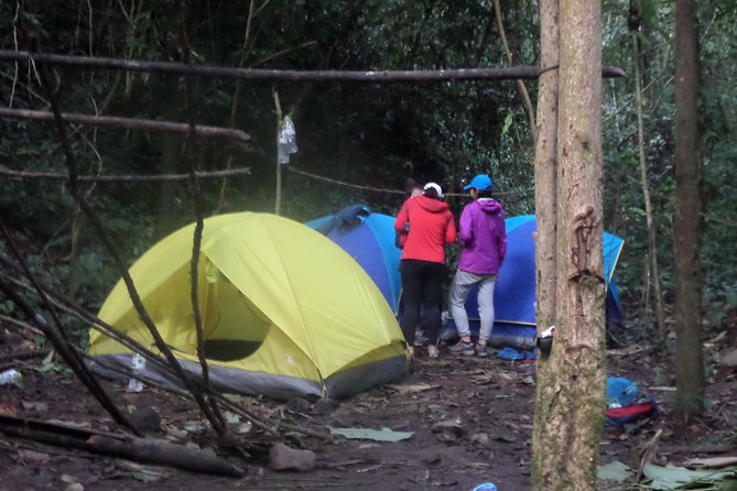 The Wild Explorer - 3 days forest trek with homestay and camping - Forest cooking is more than a meal stop