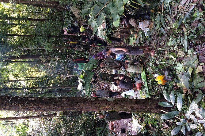 The Wild Explorer - 3 days forest trek with homestay and camping - Day one: leave Luang Namtha and enter the forest