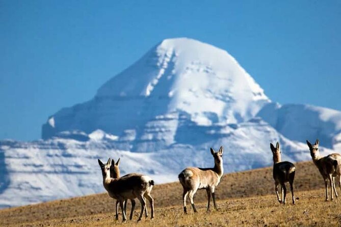 Tibet Tour 15 Days Lhasa to Kailash Trekking Small Group via EBC - Why this route is worth the long road days