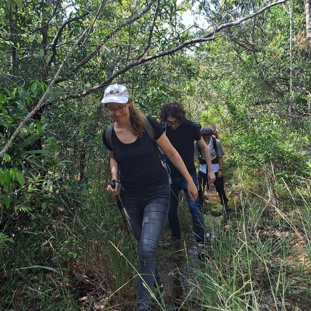 Tien Son Dinh 1-Day Trekking Tour Phu Quoc - Trees that give the walk a sense of place