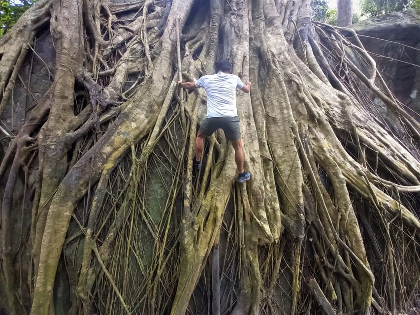 Tien Son Dinh 1-Day Trekking Tour Phu Quoc - Banh xeo lunch in the middle of a hard day
