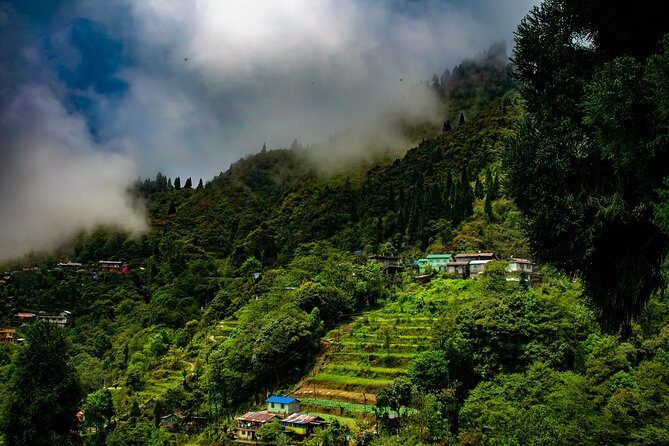 Tiger Hill Darjeeling Nature Walk (3 Hours Guided Trekking Experience) - Why Tiger Hill works better as a walk