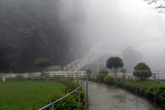 Tiger Hill Darjeeling Nature Walk (3 Hours Guided Trekking Experience) - Is $23.01 a fair price?