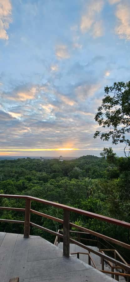 Tikal from Hotel Camino Real El Remate - All Inclusive - The Tikal Visitor Center and the first look at the site