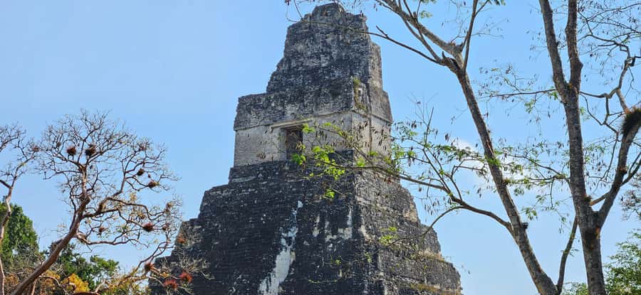 Tikal from Hotel Camino Real El Remate - All Inclusive - Walking the Mayan trails through the Petén rainforest