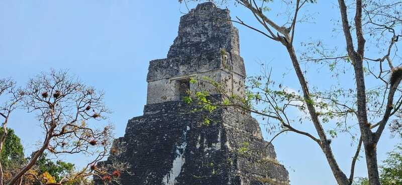 Tikal from Hotel Camino Real El Remate - All Inclusive - The acropolises and the Great Plaza
