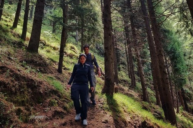 Top Tibba Trek - Mussoorie - Walking through the forest toward the summit