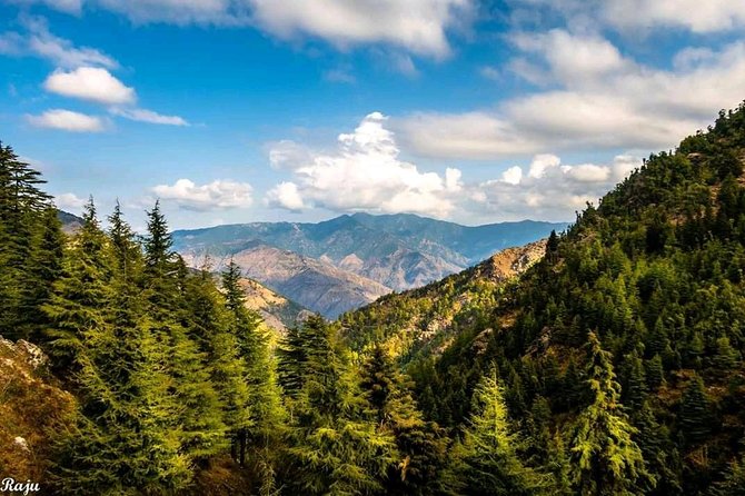 Top Tibba Trek - Mussoorie - Reaching Top Tibba at 8,500 feet