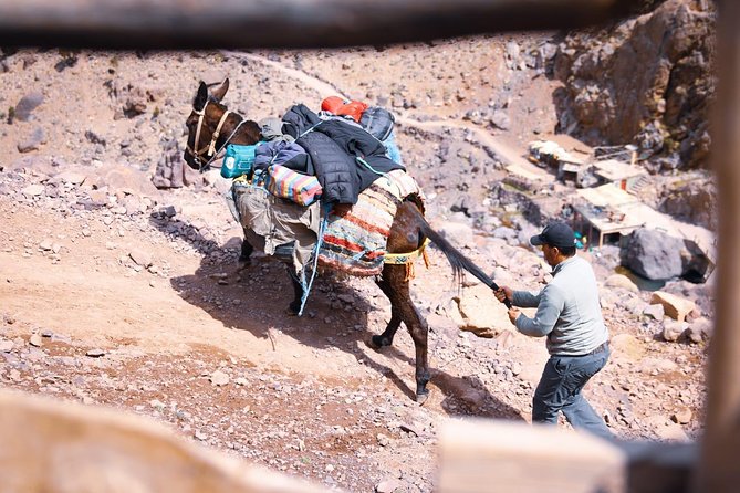 Toubkal Trekking 2 Days - Who should book this Toubkal trek?