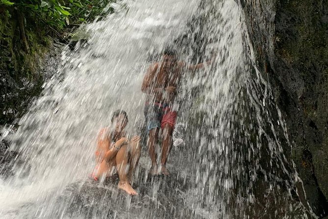 TOUR PACKAGE (jungle trekking, taxi, Room) 4 DAYS 3 NIGHTS in BUKIT LAWANG - Day three: more forest, then the raft back