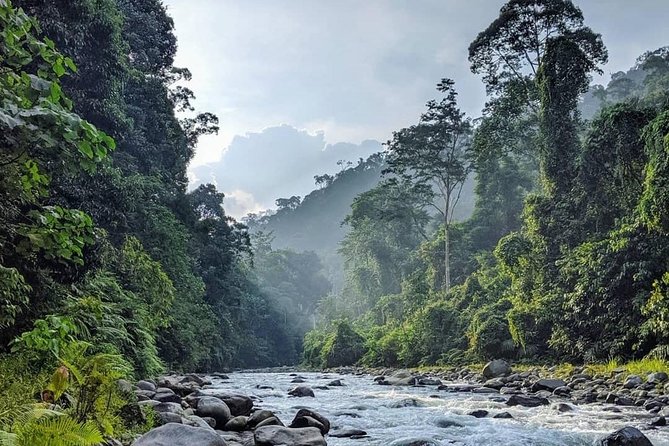 TOUR PACKAGE (jungle trekking, taxi, Room) 4 DAYS 3 NIGHTS in BUKIT LAWANG - Guides, group size, and the human side