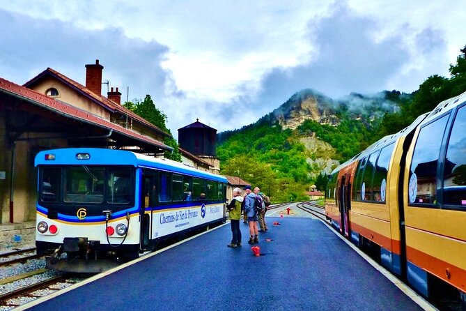 Tour with the Mountain Train, Trek to Mystic Forest and Castle - Lunch in Entrevaux or Annot