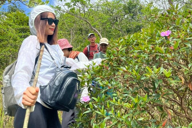 Trek Nui Chua Experience 2D1N, Night in the Jungle - Vinh Hy Bay - BBQ dinner, birdsong, and fireflies