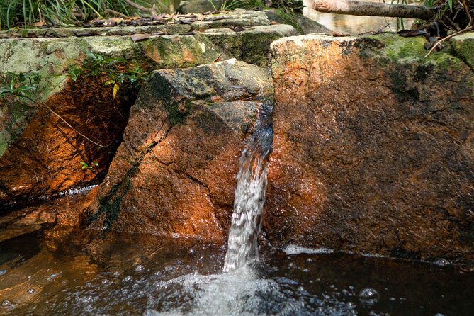 Trek Nui Chua Experience 2D1N, Night in the Jungle - Vinh Hy Bay - The waterfall break and possible swim