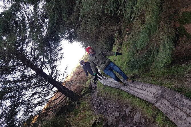 Trek the Tombs and Trails in the Dublin Mountains - Dublin Bay from the mountaintop rock