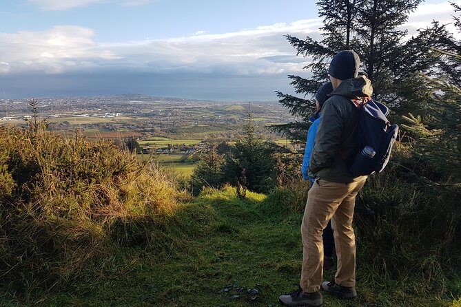 Trek the Tombs and Trails in the Dublin Mountains - Picking berries when the season is right