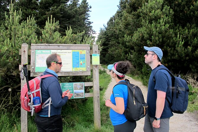 Trek the Tombs and Trails in the Dublin Mountains - Forest paths, country roads, and a well-earned stop