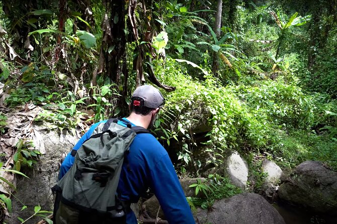 Trek to a Jungle Waterfall - A 1.6-kilometer walk with more than scenery