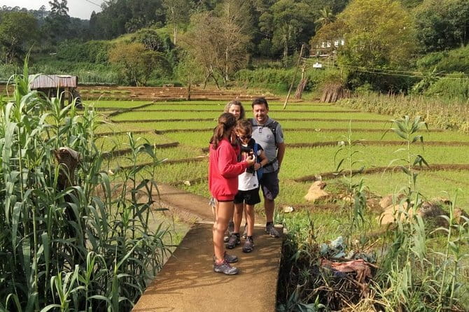 Trek to Little Adam's Peak and Nine Arches Bridge In Ella - Starting through Ella’s tea plantations