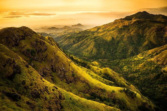 Trek to Little Adam's Peak and Nine Arches Bridge In Ella - Walking through woodland to Nine Arches Bridge