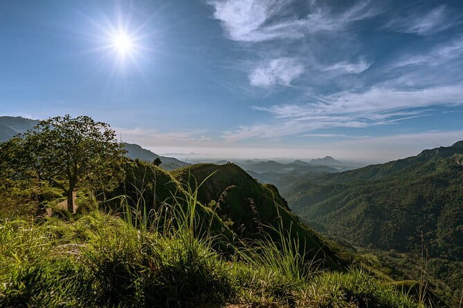 Trek to Little Adam's Peak and Nine Arches Bridge In Ella - What the private guide adds