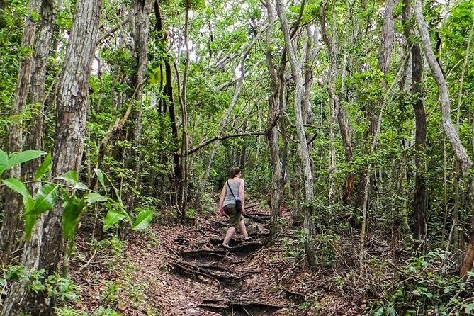 Trek Tours Hiking Experience in Antigua - Carpenter’s Rock for a stronger challenge