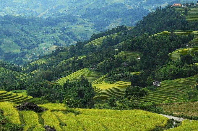 Trekking around Ha Giang 5 days 4 nights - Day 4: Dong Van Old Quarter to Ma Pi Leng Pass