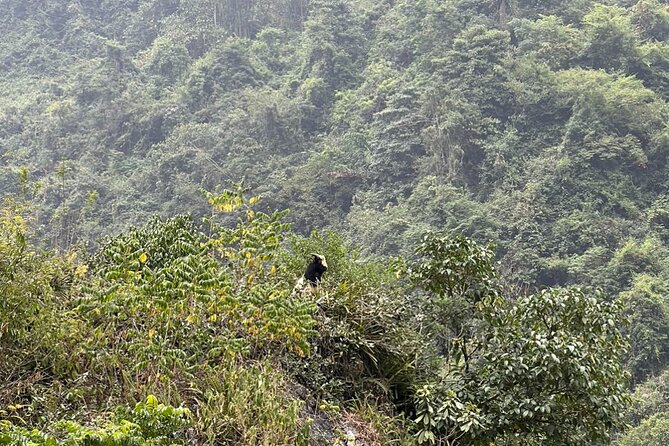 Trekking Ban Gioc Waterfall to Hidden Village on Unique Route - The early ride from Cao Bang to Ban Gioc