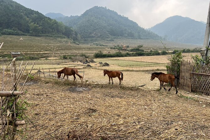 Trekking Ban Gioc Waterfall to Hidden Village on Unique Route - A long first-day trek with a different return path