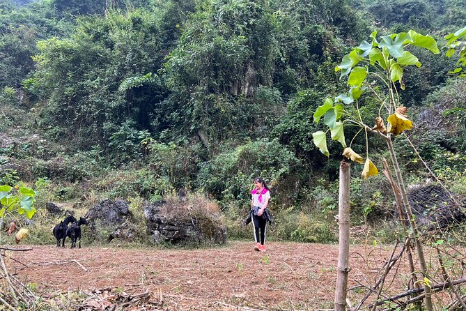 Trekking Ban Gioc Waterfall to Hidden Village on Unique Route - Breakfast foods before the Quay Son River walk