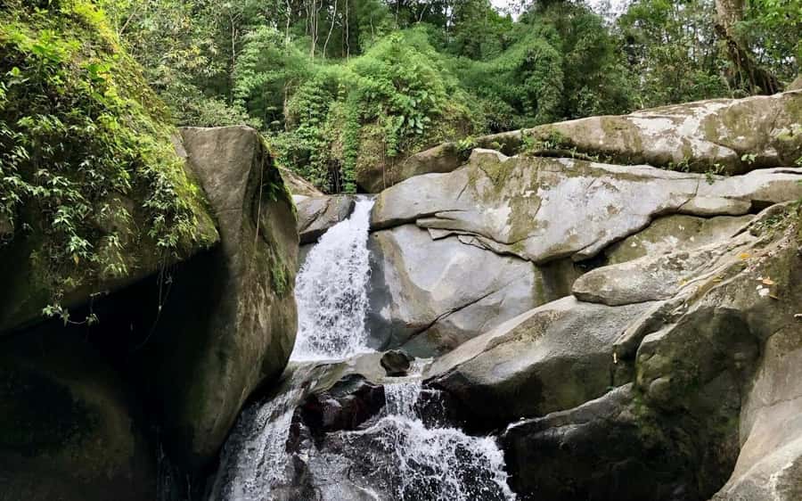 Trekking History and Indigenous Heritage in Minca + Cacao & Coffee + Waterfall - Walking trails tied to Tayrona heritage